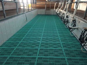 BUZAĞI KOYUN ALTLIK-IZGARA 39X52 CM  (SİPARİŞ VE BİLGİ İÇİN 0533 763 37 89)