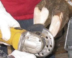 KERBL TIRNAK KESME DİSKİ 6 DİŞLİ, AYAK BAKIMI