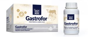 İSHAL ÖNLEYİCİ DR. NUTRİ MORE GASTROFOR 250 ML (PREBİOTİC-PROBİOTİC-ENZYMES)