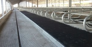 HAYVAN YATAĞI ŞİLTE İŞBİR (SİPARİŞ VE BİLGİ İÇİN 0533 763 37 89)