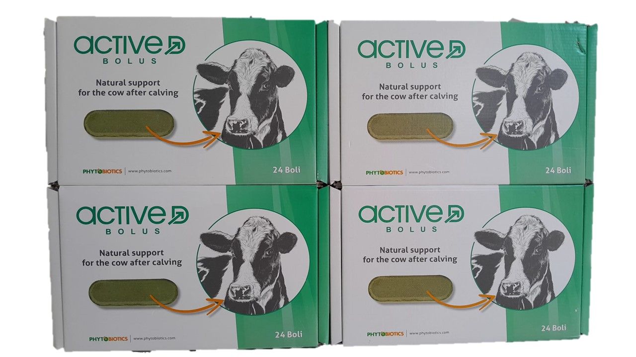 Phytobiotics Active D