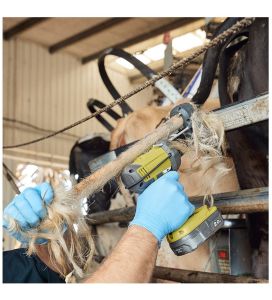 HAYVAN KUYRUK KIRKMA VE DÜZENLEME MAKİNESİ TAİL WELL