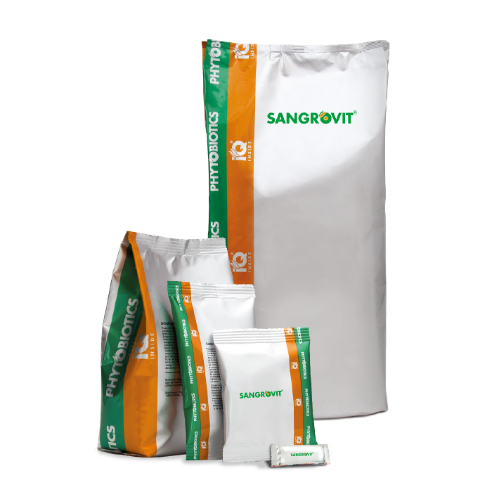 SANGROVİT MS 100 GR