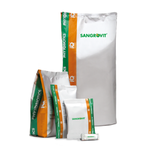 SANGROVİT MS 100 GR