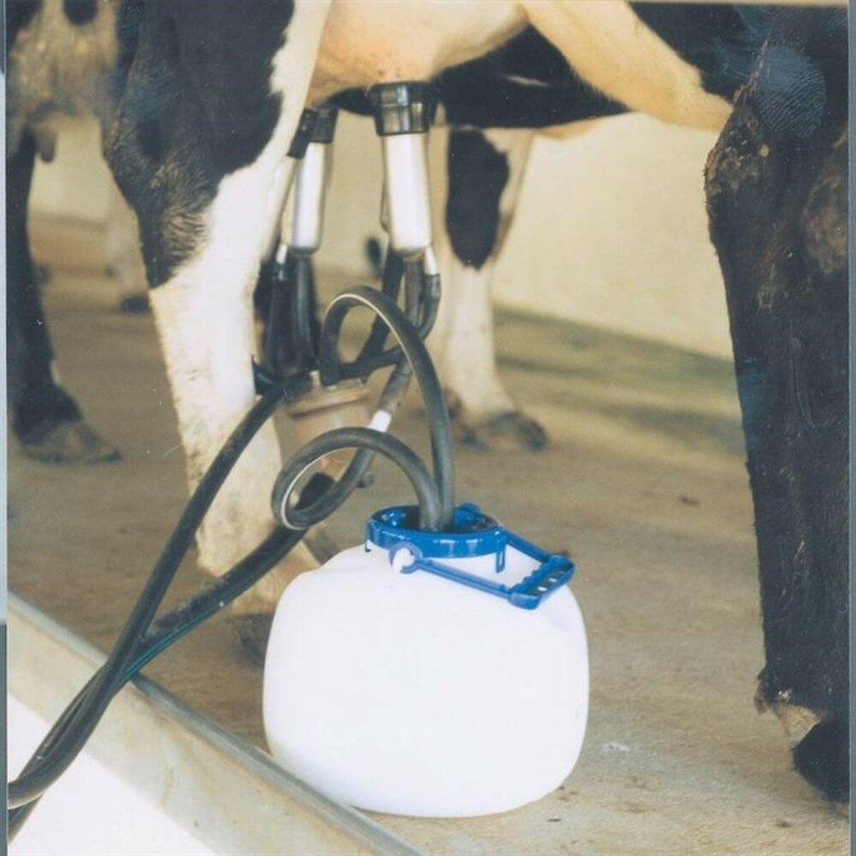 TEKLİ SAĞIM BİDONU 8LT SHOOF QUARTER MILKER